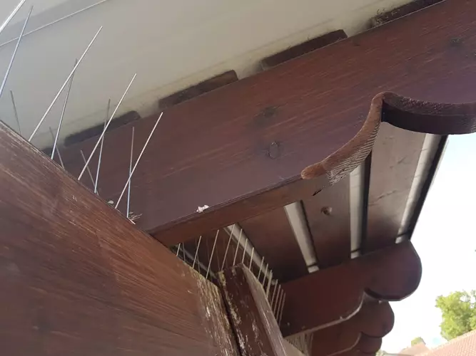 התקנת דוקרנים להרחקת יונים 2